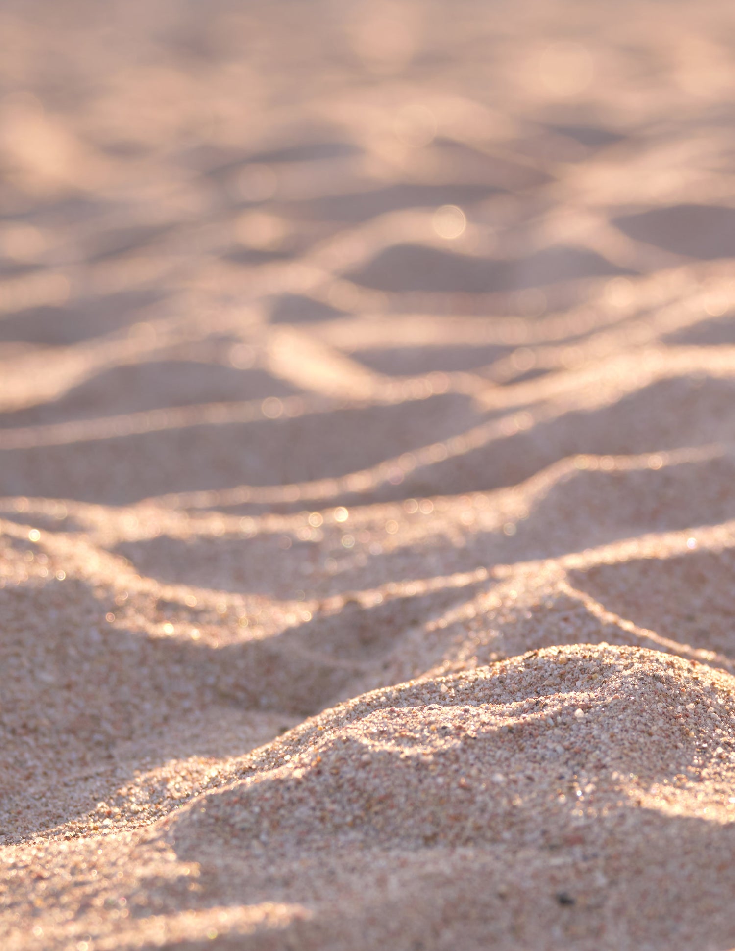 The Beach