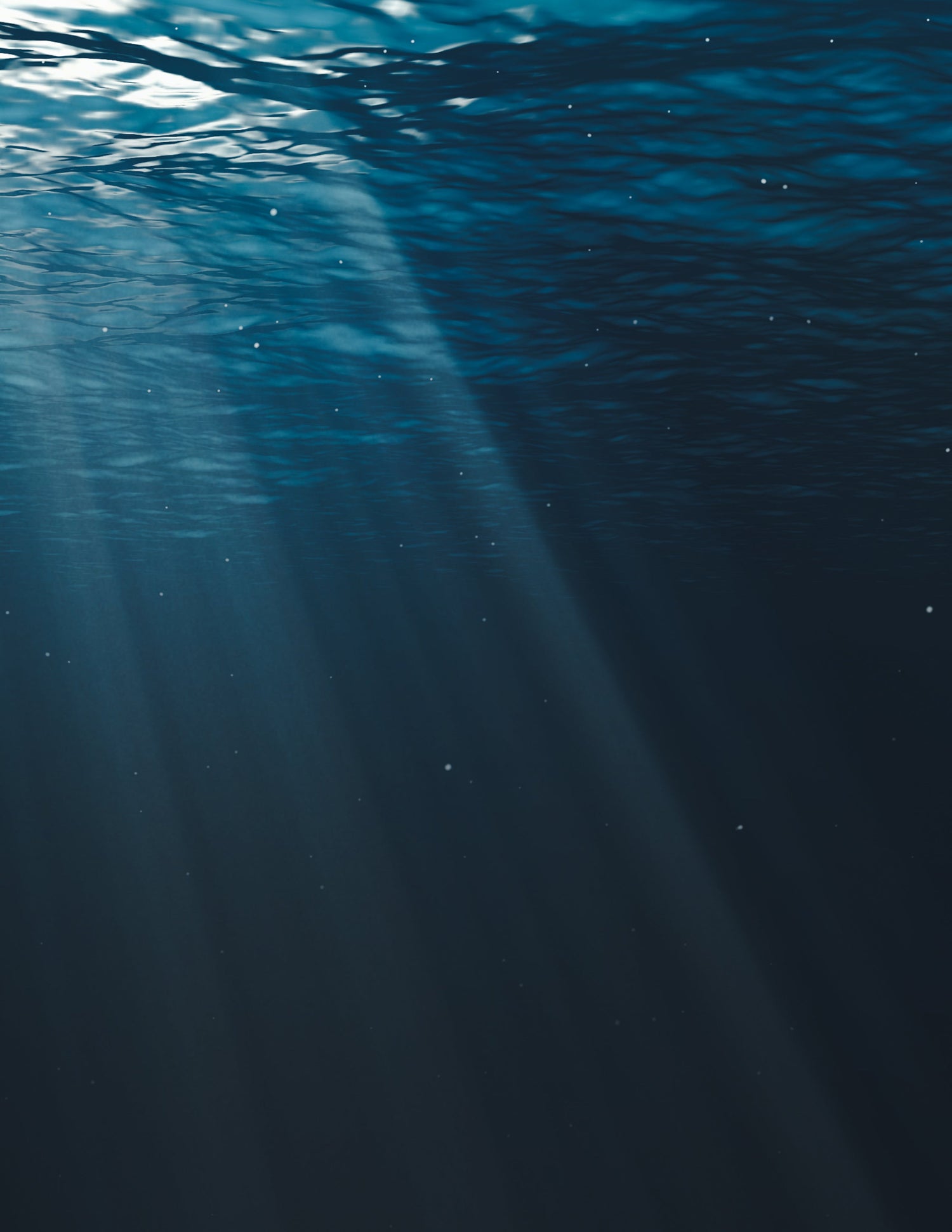 The Deep Sea