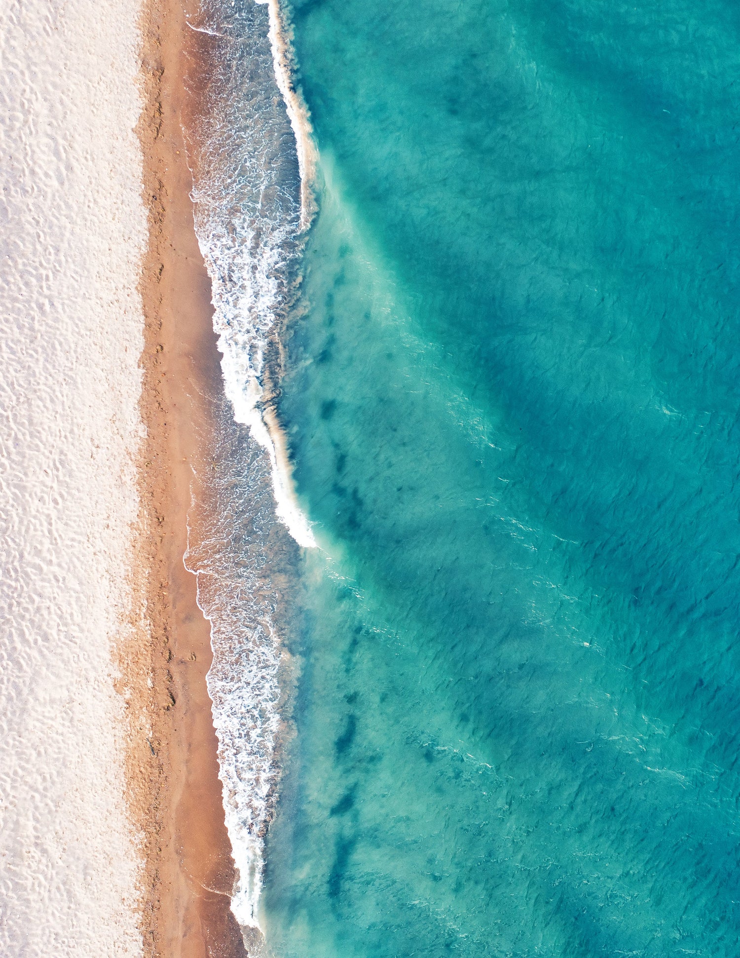 The Shore
