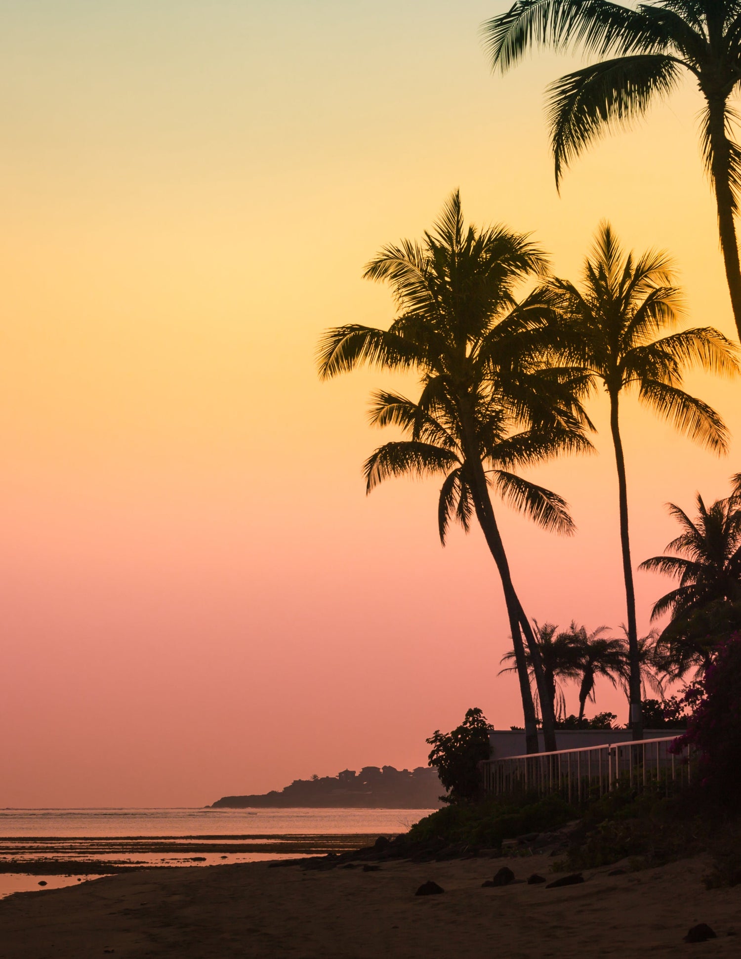 The Sunset
